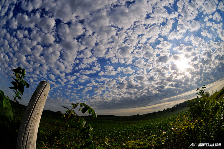 Andy Kawa Photography