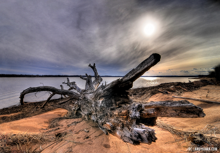 Andy Kawa Photography