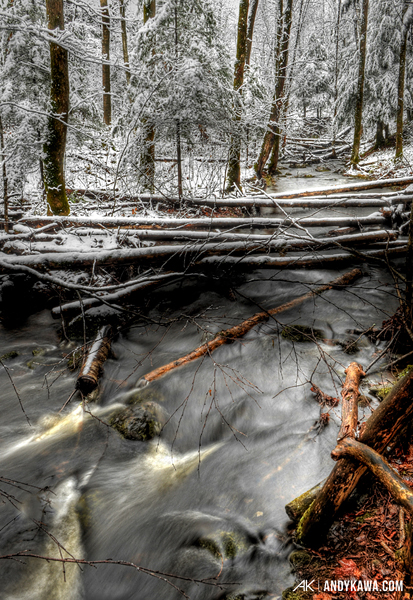 Andy Kawa Photography